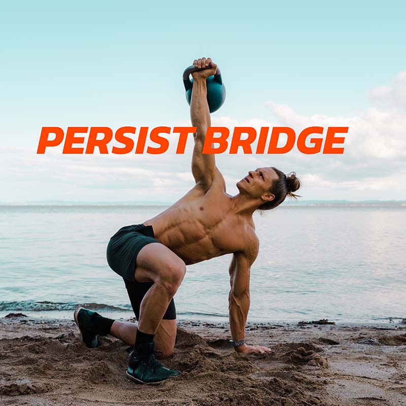 Persist Bridge Subscription