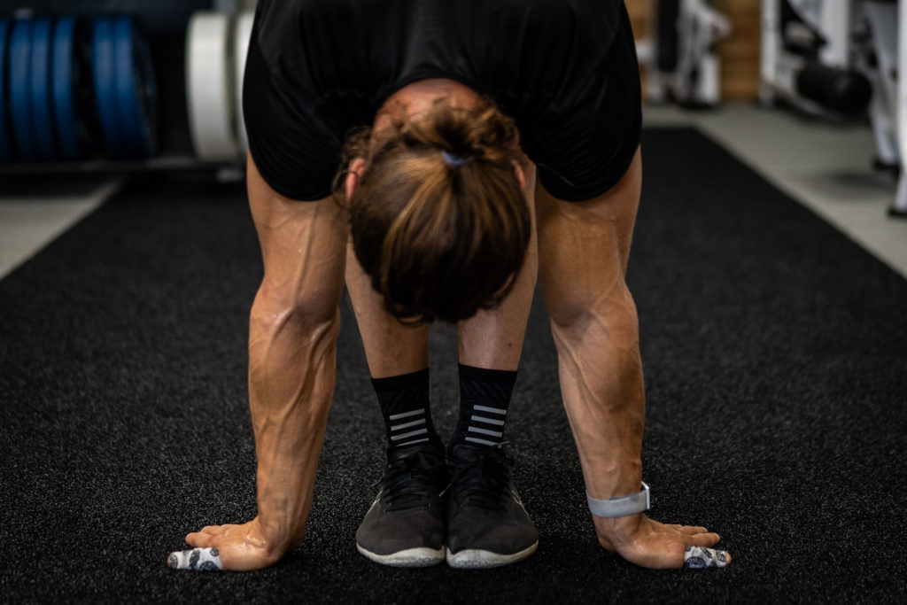 Persist 2023 Road Map – Functional Bodybuilding