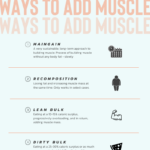 how to lean bulk